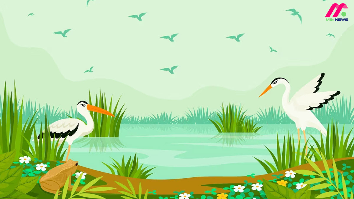 Nhấn vào ảnh để phóng to Câu đố dân gian về con vật