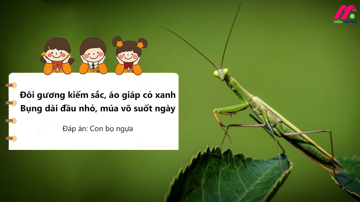 Nhấn vào ảnh để phóng to Câu đố về các con vật sống trên cạn