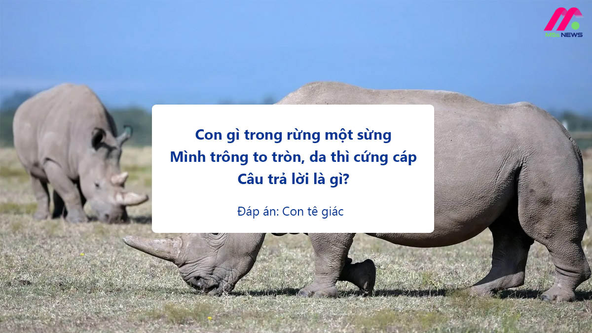Nhấn vào ảnh để phóng to Câu đố về các con vật sống trong rừng